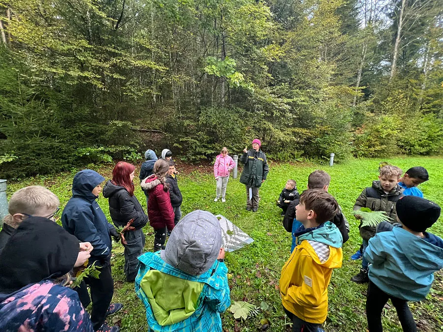 Waldtag der Klasse 4a am 02.10.2024